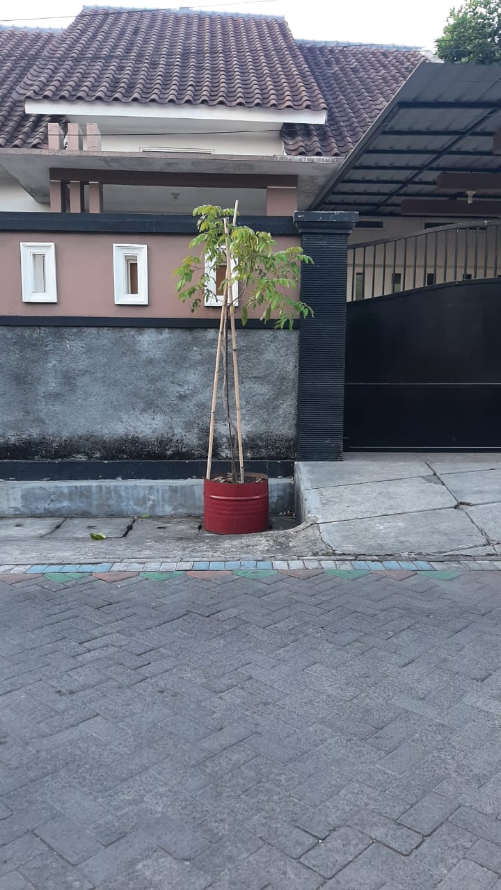 rumah dijual kutisari selatan surabaya