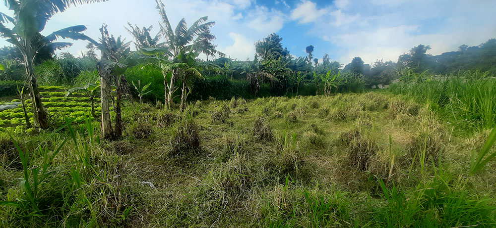 TANAH DI DALAM KAWASAN KOMPLEK GRAHA PUSPA JL. SERSAN BAJURI BDG