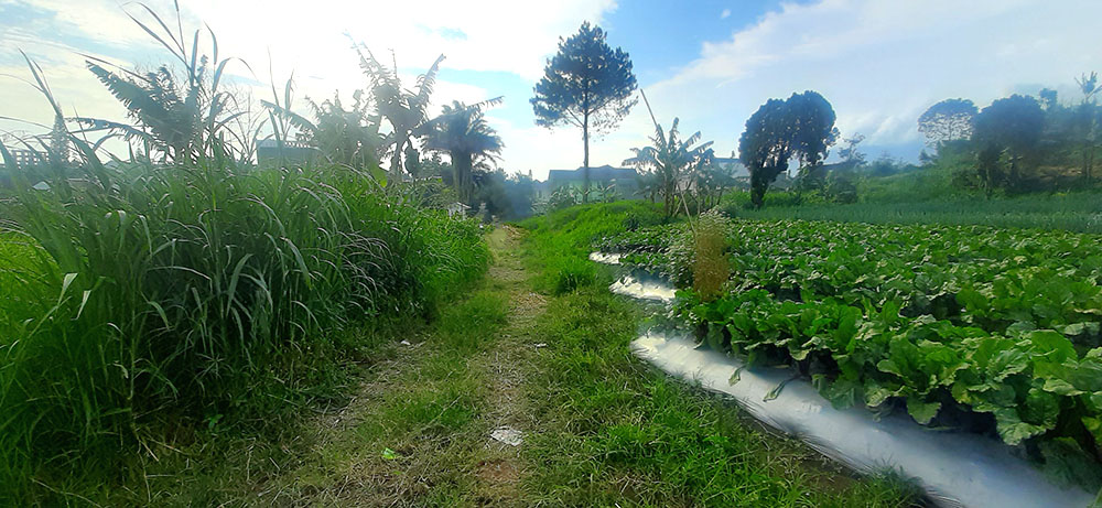 TANAH DI DALAM KAWASAN KOMPLEK GRAHA PUSPA JL. SERSAN BAJURI BDG