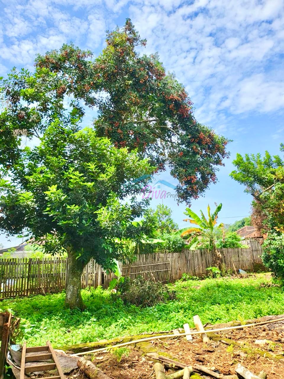 LAHAN + BANGUNAN DI PURWADADI KAB. SUBANG