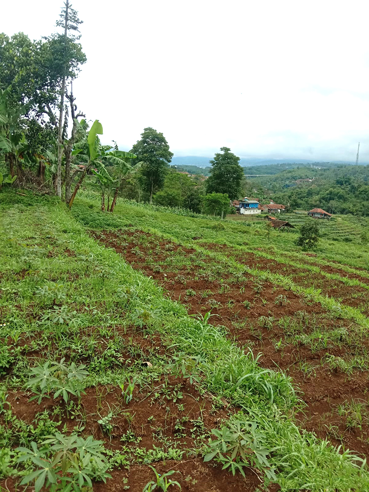Tanah Utk Perumahan Dekat GT. Pamulihan Tanjungsari Sumedang