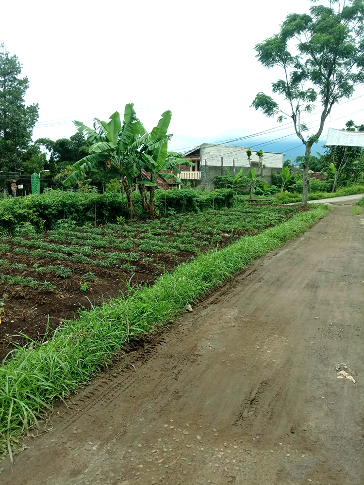 Tanah Utk Perumahan Dekat GT. Pamulihan Tanjungsari Sumedang