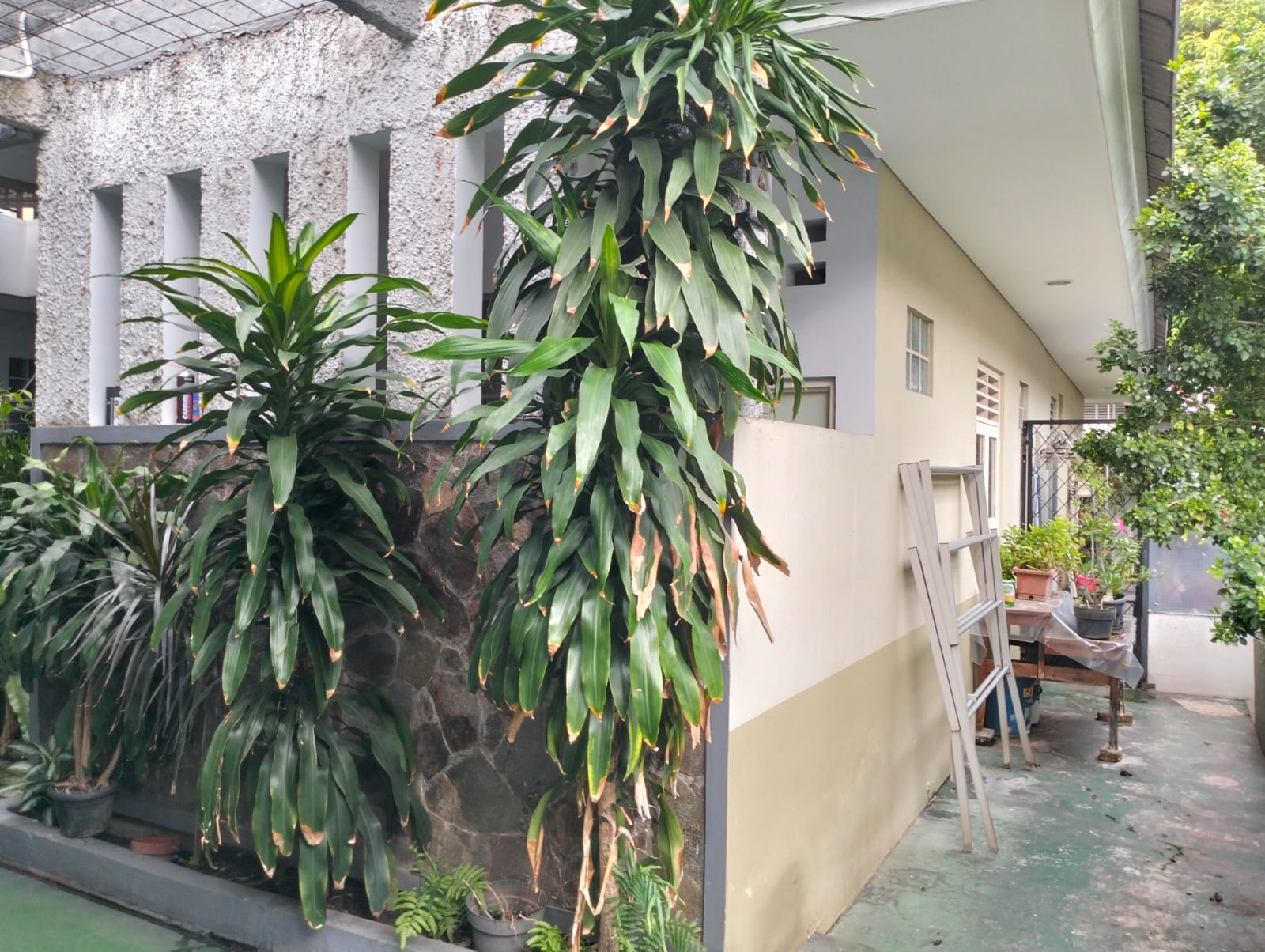 Dijual rumah komplek strategis cantik di Jati, Pulo Gadung