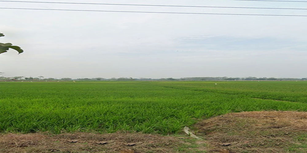 Tanah Untuk Investasi Dekat GT. Sumberjaya Majalengka