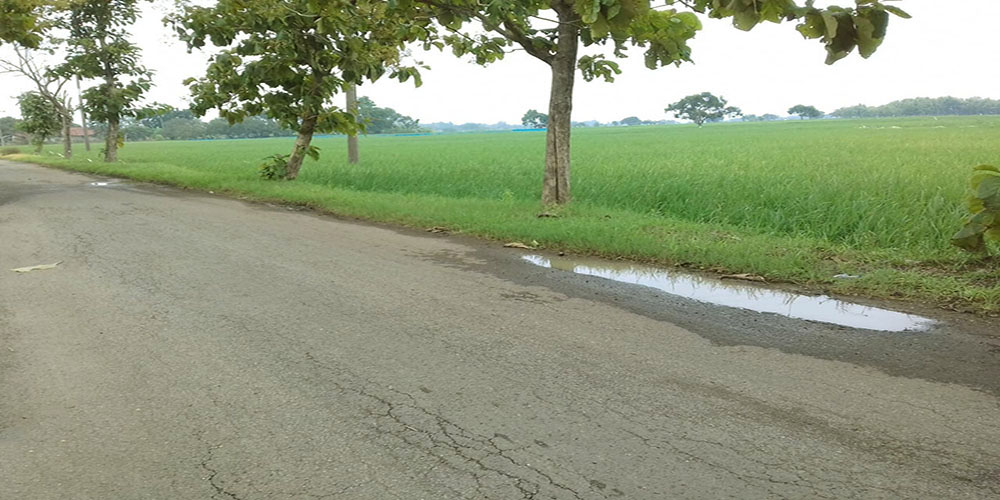 Tanah Untuk Investasi Dekat GT. Sumberjaya Majalengka