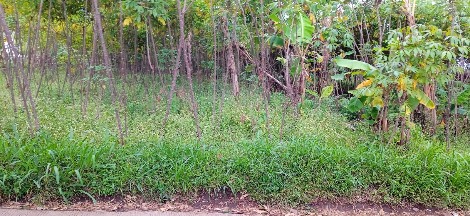 Di jual tanah
