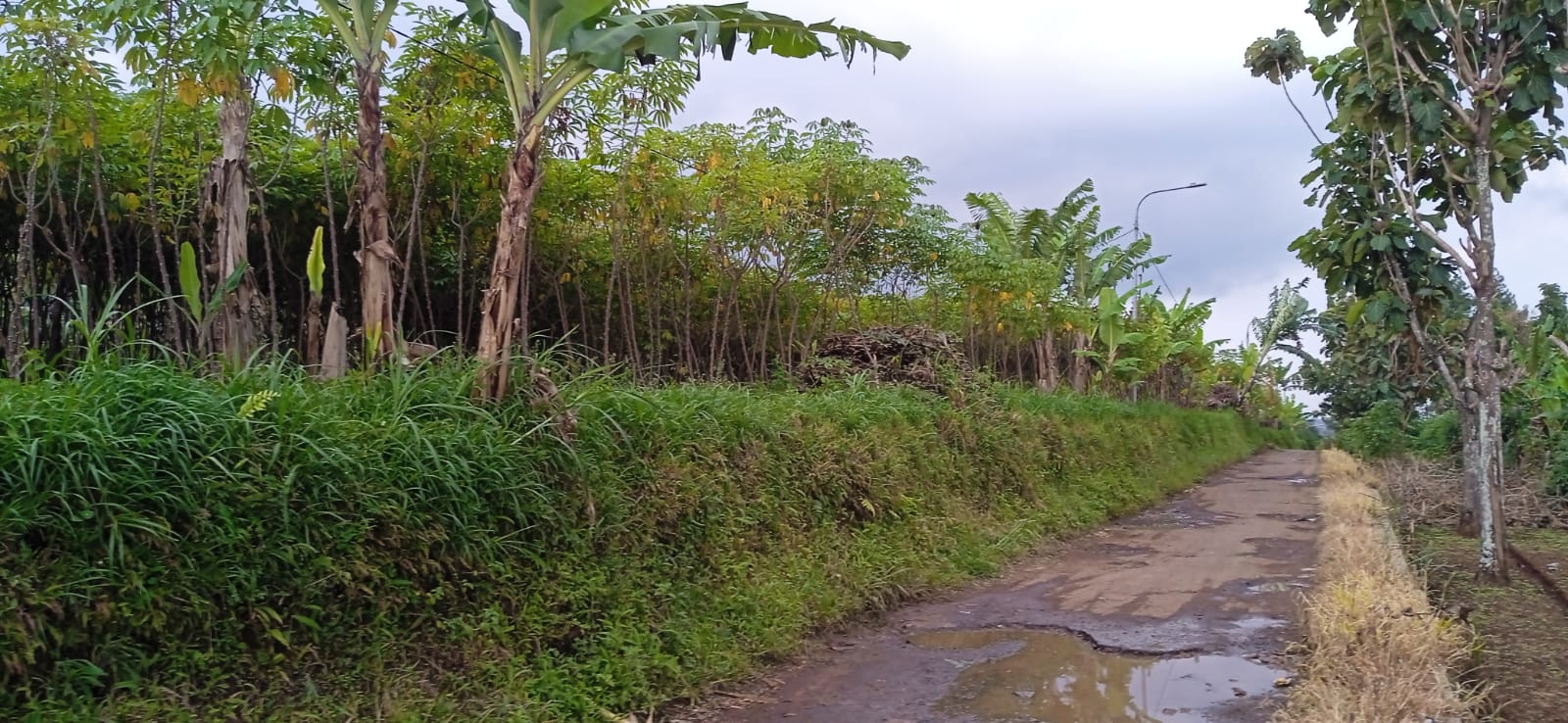 Di jual tanah