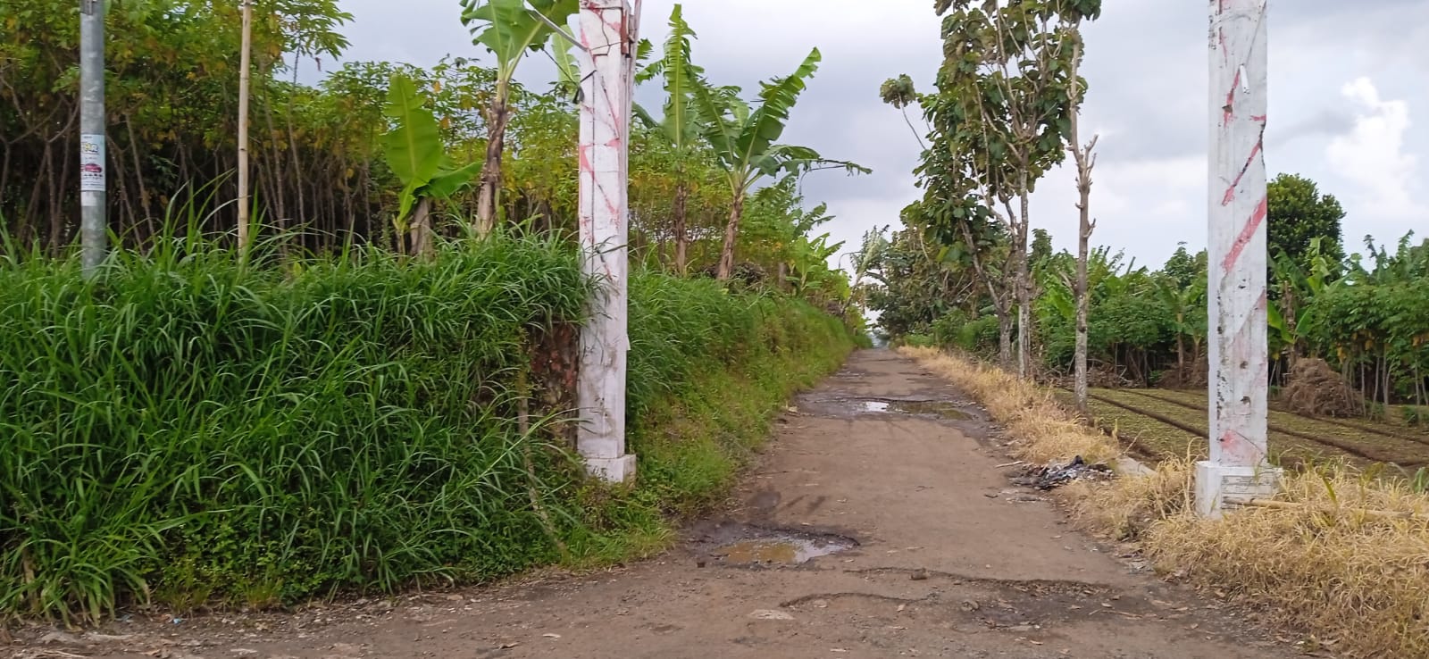 Di jual tanah