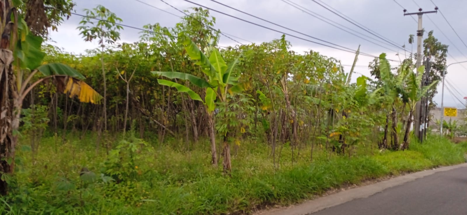 Di jual tanah