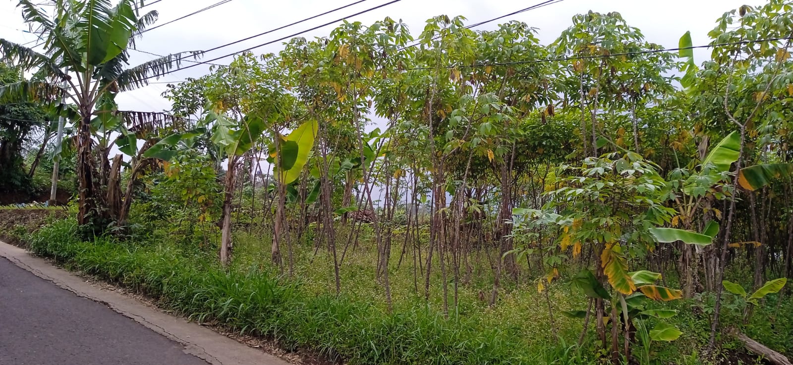 Di jual tanah