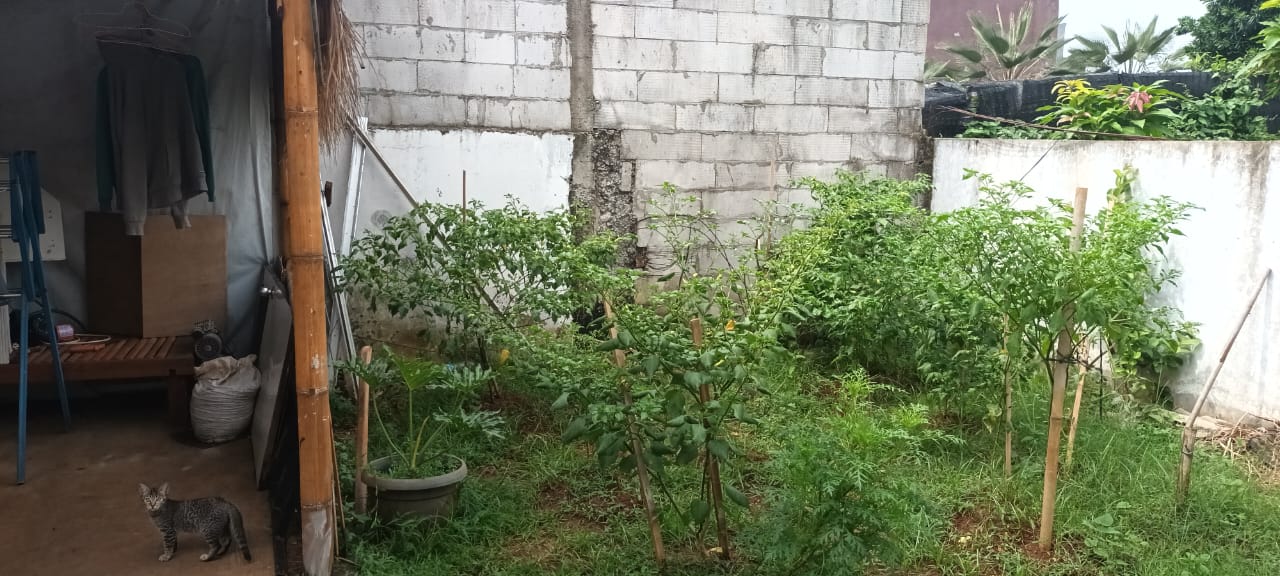 Dijual Rumah secondary strategis di puri Bali, Bojongsari Depok