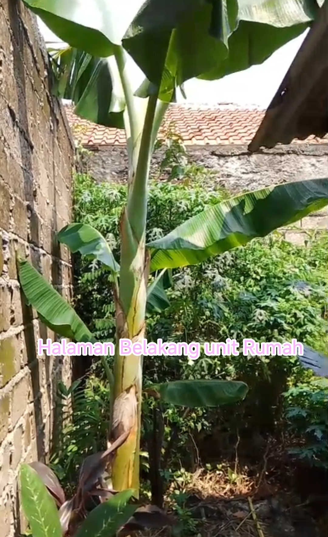 Dijual Rumah hitung harga tanah diwilayah Beji, Depok.