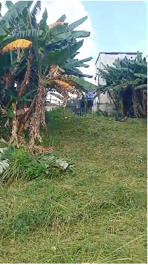 Disewakan tanah komersil di area Buaran, Serpong, Tangerang
