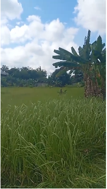 Dijual tanah komersil di area Buaran, Serpong, Tangerang Selatan