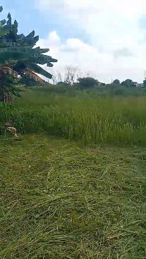 Dijual tanah komersil di area Buaran, Serpong, Tangerang Selatan