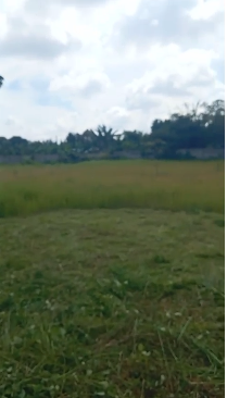 Disewakan tanah komersil di area Buaran, Serpong, Tangerang