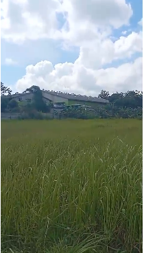 Dijual tanah komersil di area Buaran, Serpong, Tangerang Selatan
