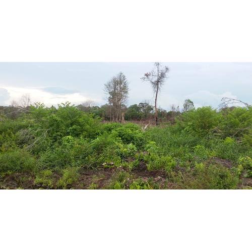 Dijual Tanah Strategis 5.355 m² di Dekat Lido City, Bogor