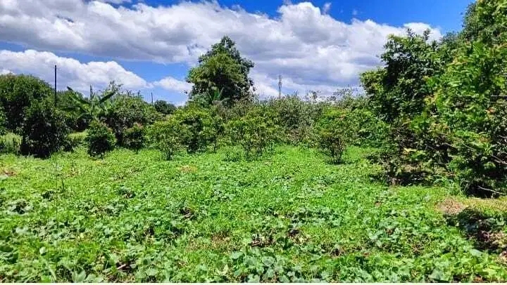 Dijual Tanah Strategis 5.355 m² di Dekat Lido City, Bogor
