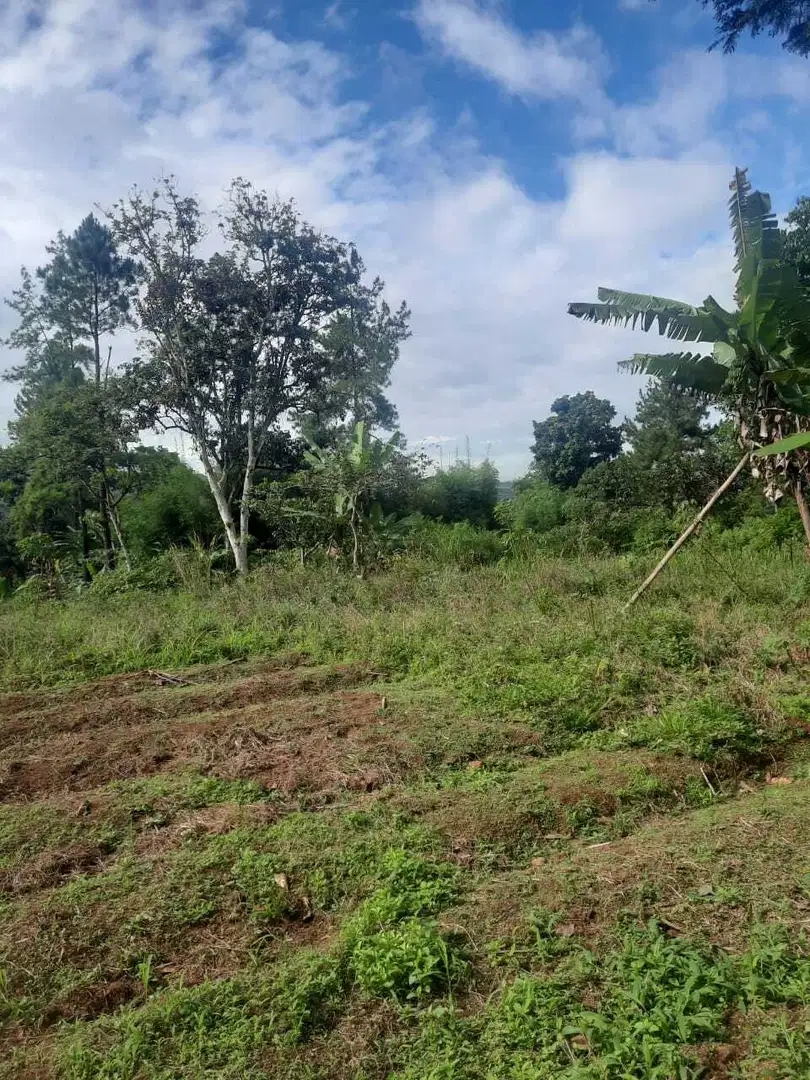 Dijual Tanah Strategis 5.355 m² di Dekat Lido City, Bogor