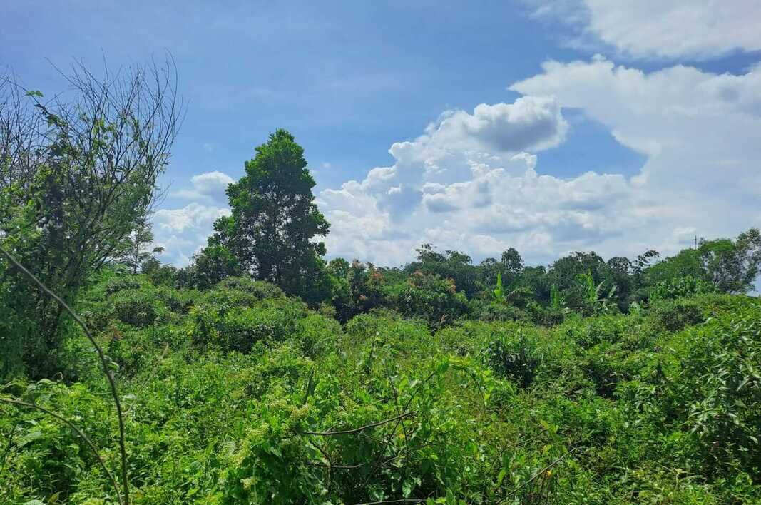 Dijual Tanah Strategis 5.355 m² di Dekat Lido City, Bogor