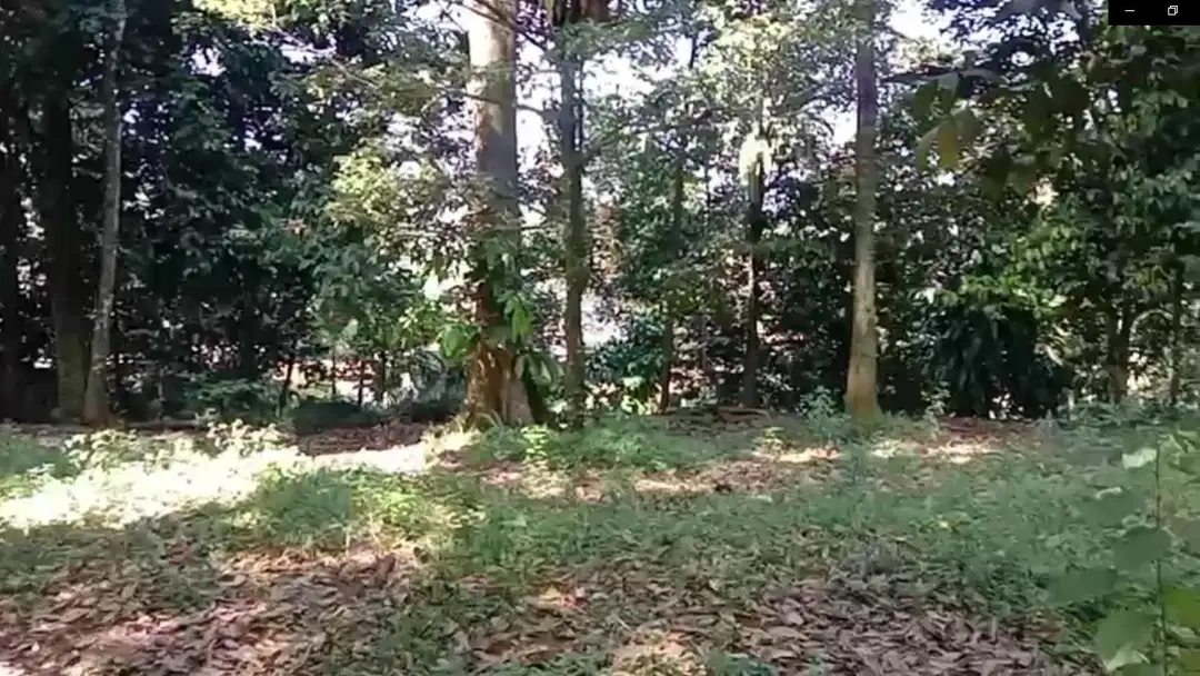 Dijual Tanah Strategis 5.355 m² di Dekat Lido City, Bogor