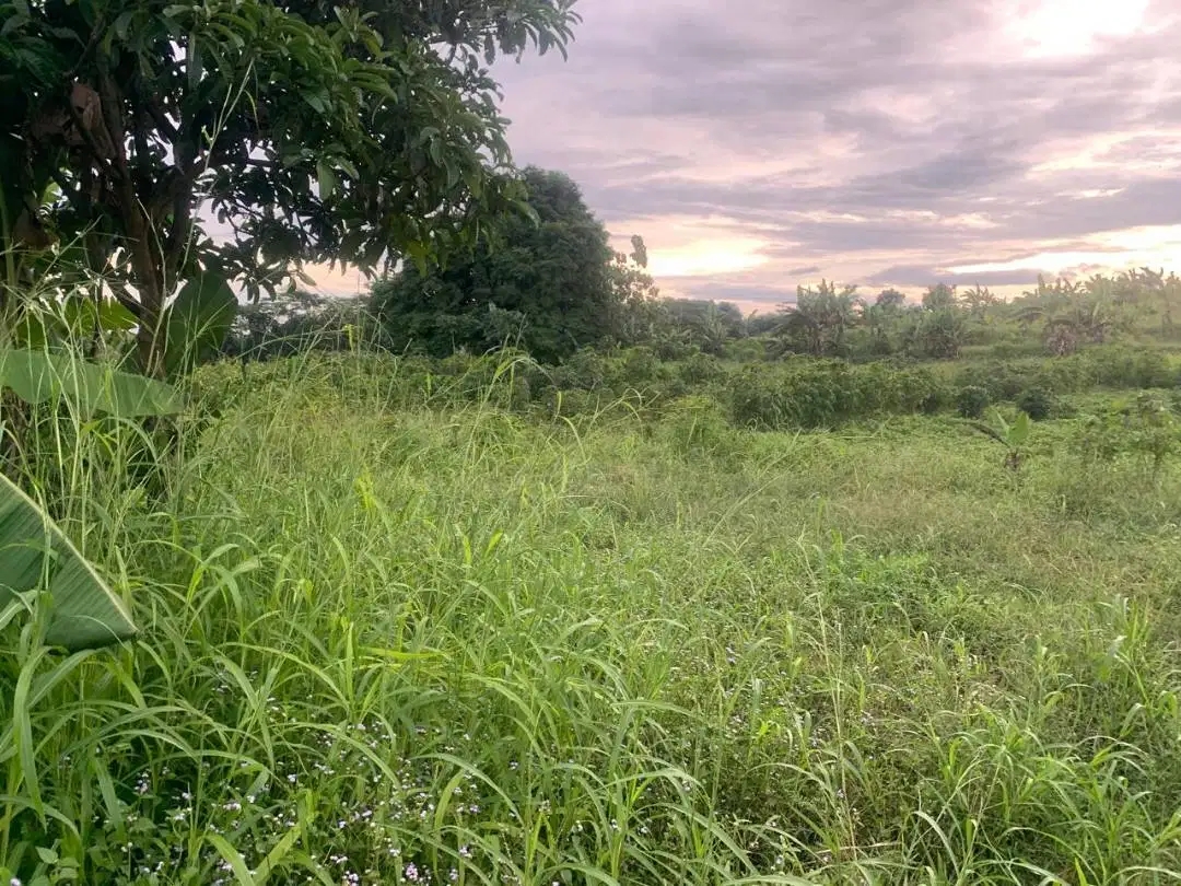 Dijual Tanah Strategis 5.355 m² di Dekat Lido City, Bogor