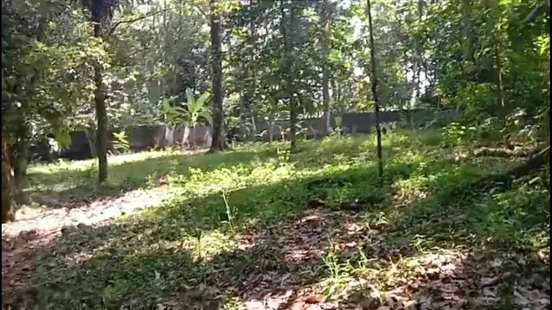 Dijual Tanah Strategis 5.355 m² di Dekat Lido City, Bogor
