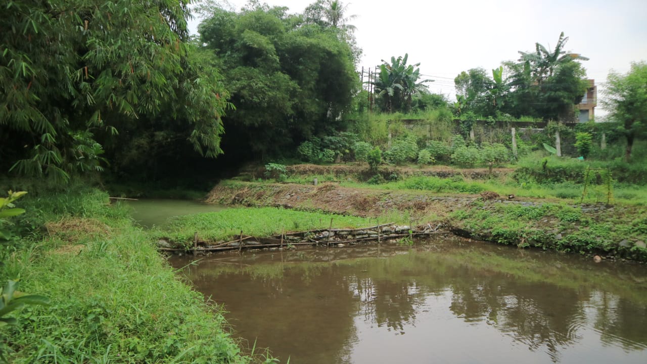 Dijual cepat Tanah dan Empang kawasan Cihideung Hilir