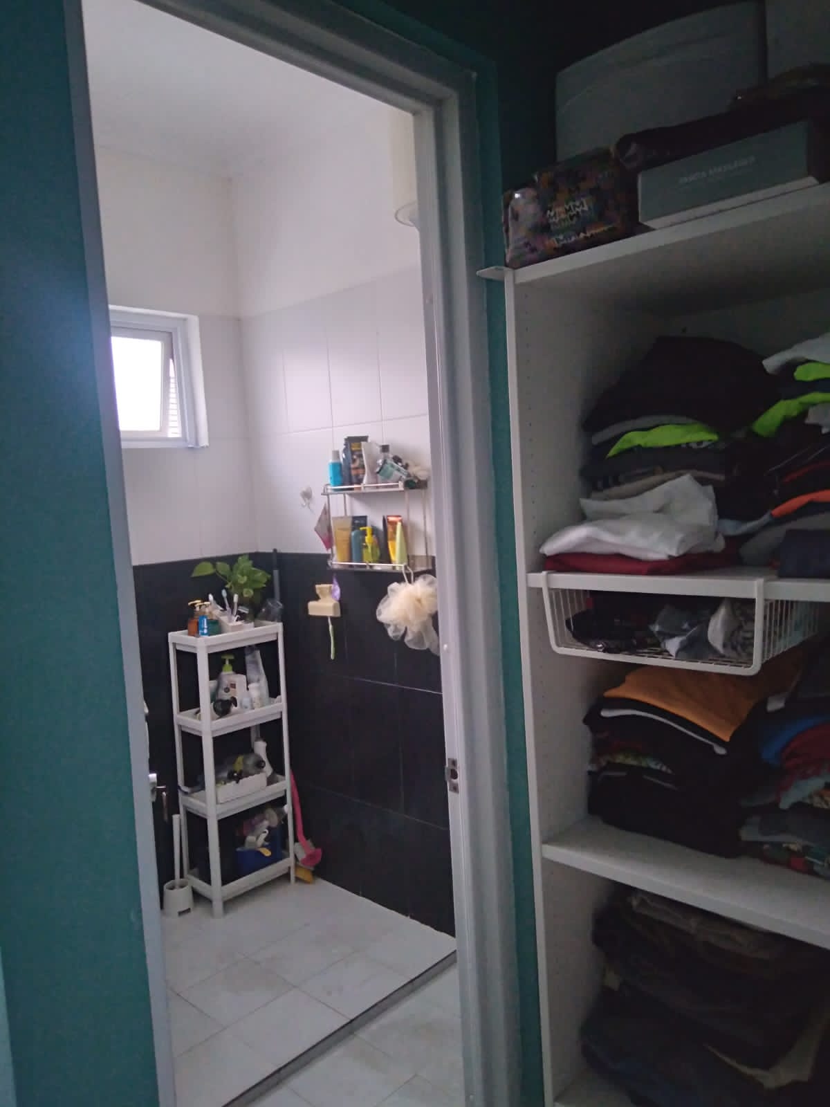 Disewa rumah bebas banjir di Green Ara Cluster Damar