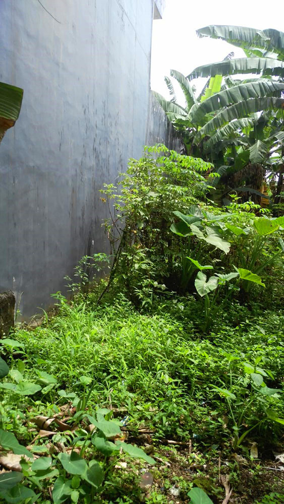 TANAH UTK RUMAH ATAU KOST AKSLUSIF DI DAGO ASRI BANDUNG