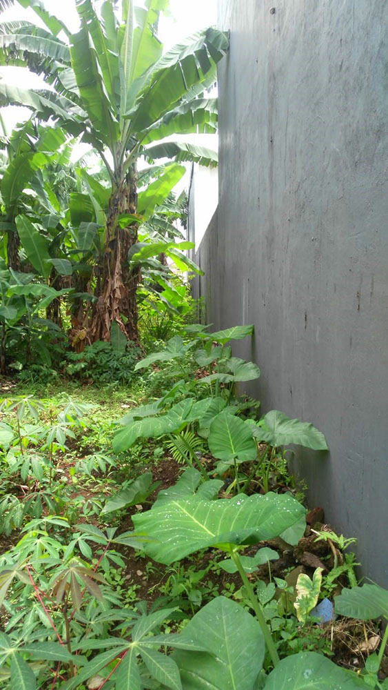 TANAH UTK RUMAH ATAU KOST AKSLUSIF DI DAGO ASRI BANDUNG