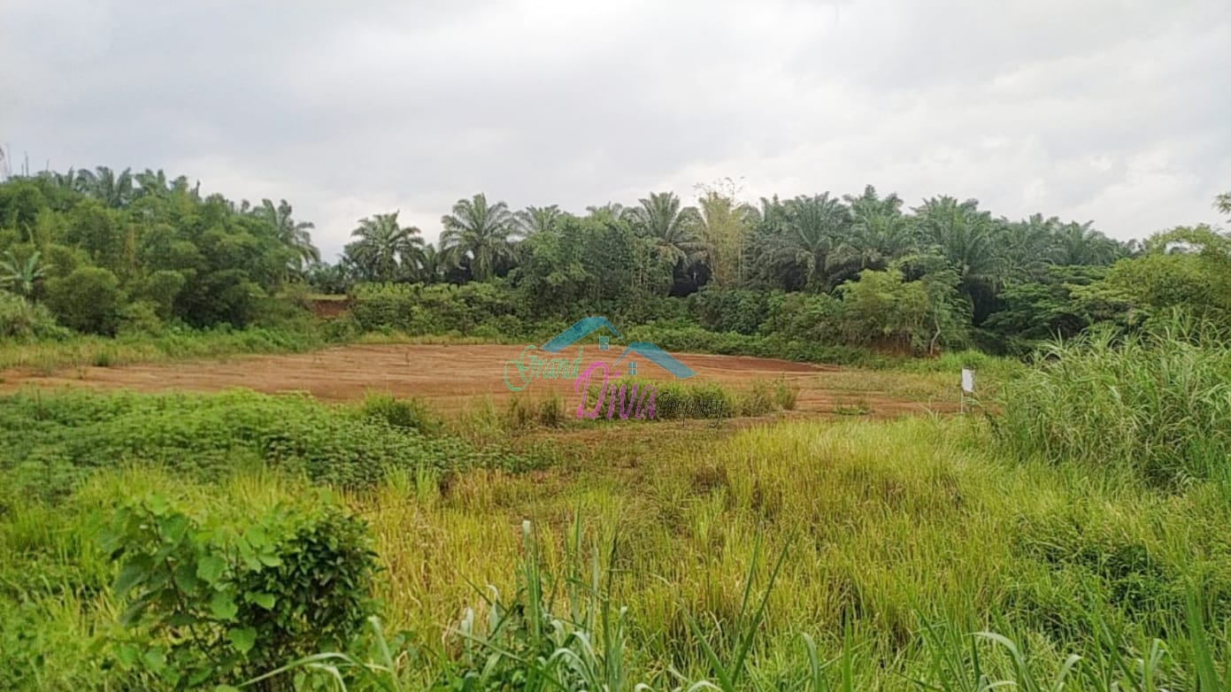 TANAH DI CIBADAK SUKABUMI