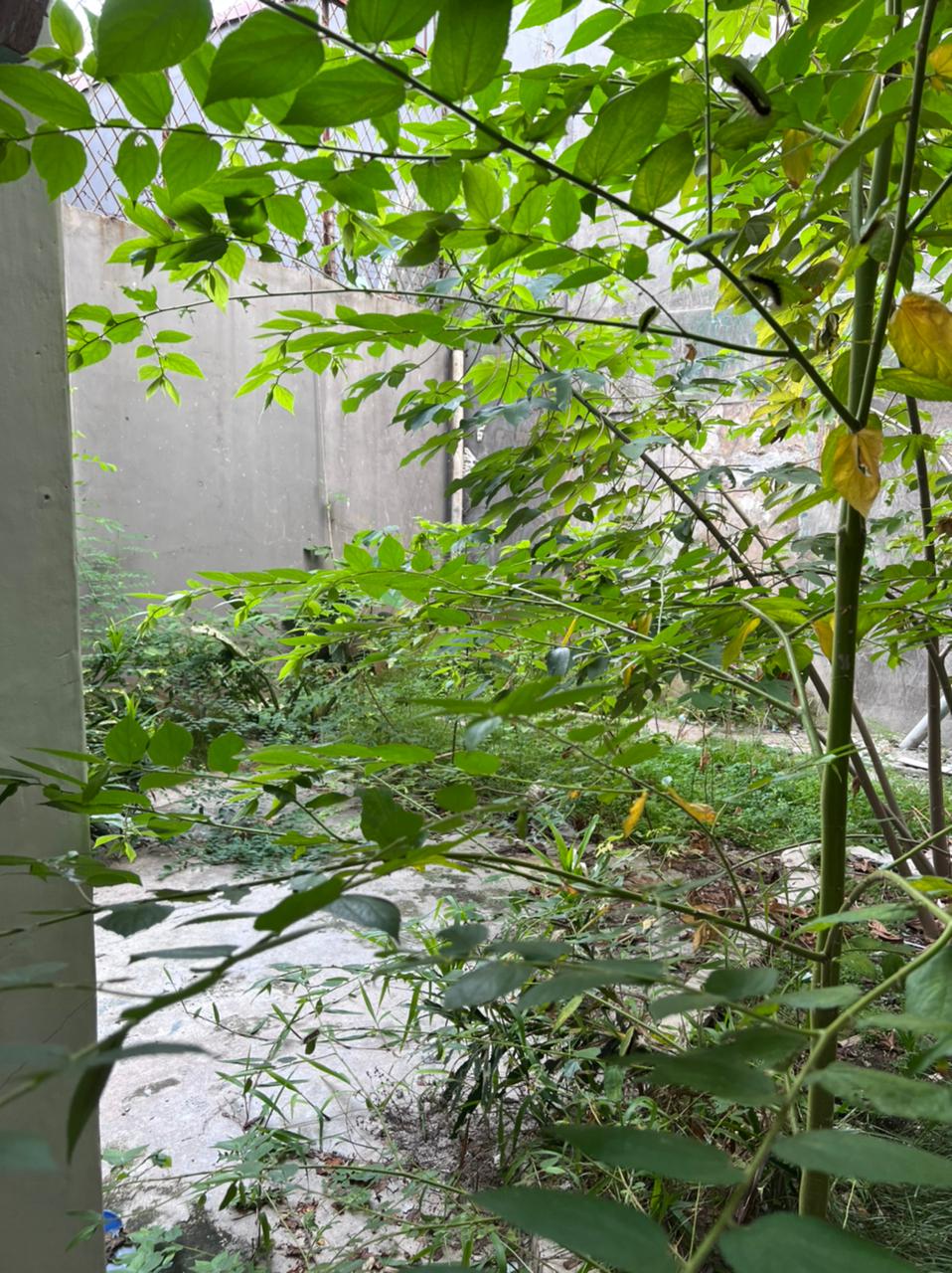 Dijual ruko gandeng area Pasar Baru, Sawah Besar, Jakarta Pusat