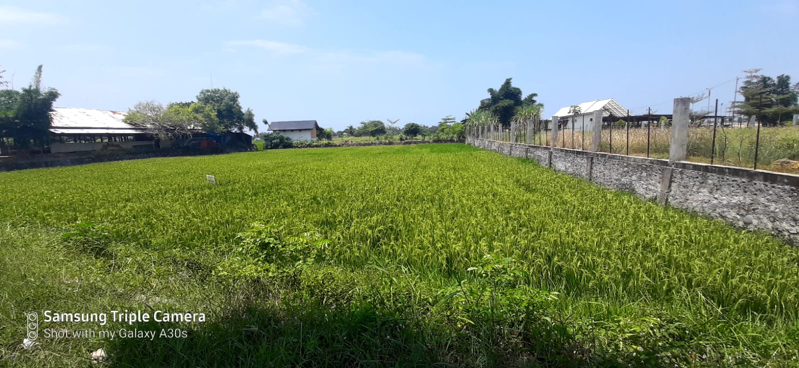 Dijual - Tanah Kosong (Bireun - Prov. Aceh)