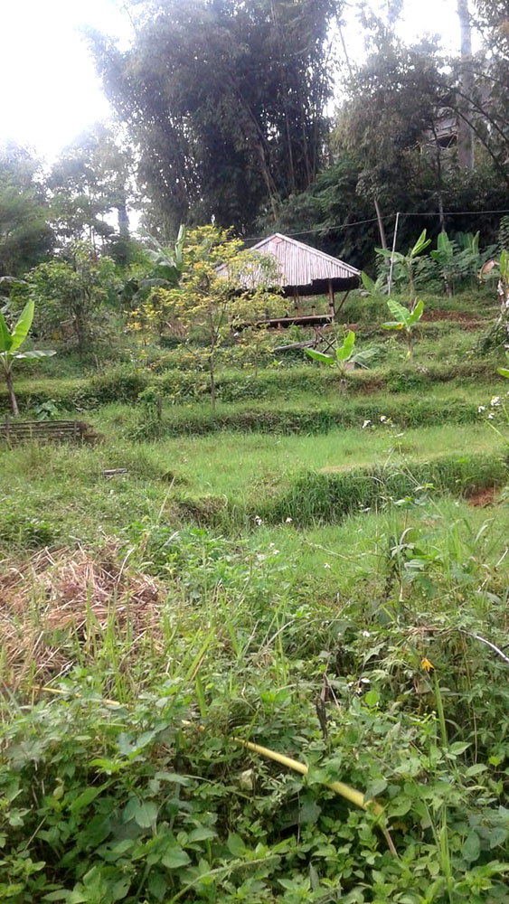 Tanah View Kota Bandung Utk Rumah Villa Kebun di Ujung Berung
