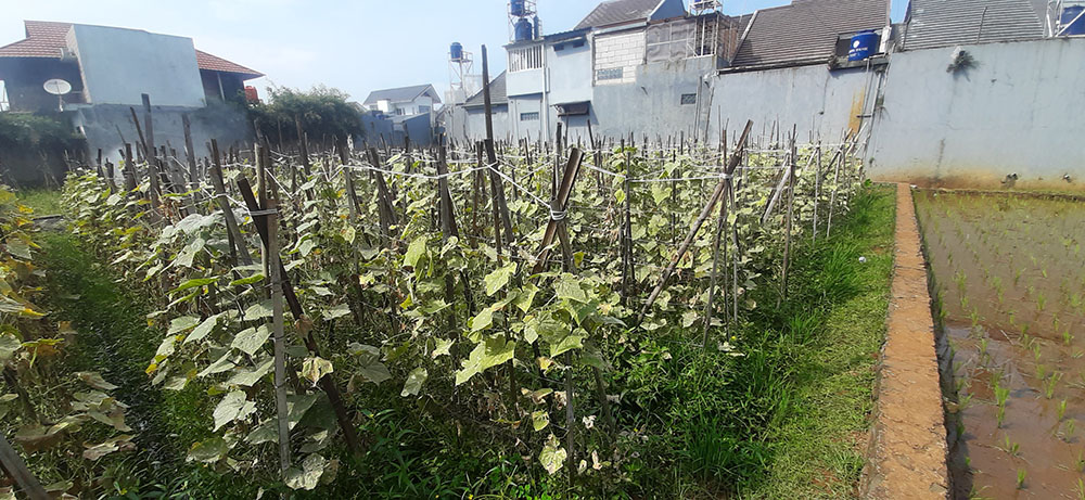 Kavling 135 m2 Muka 9 Meter SHM di Cisaranten Kulon Arcamanik Bd