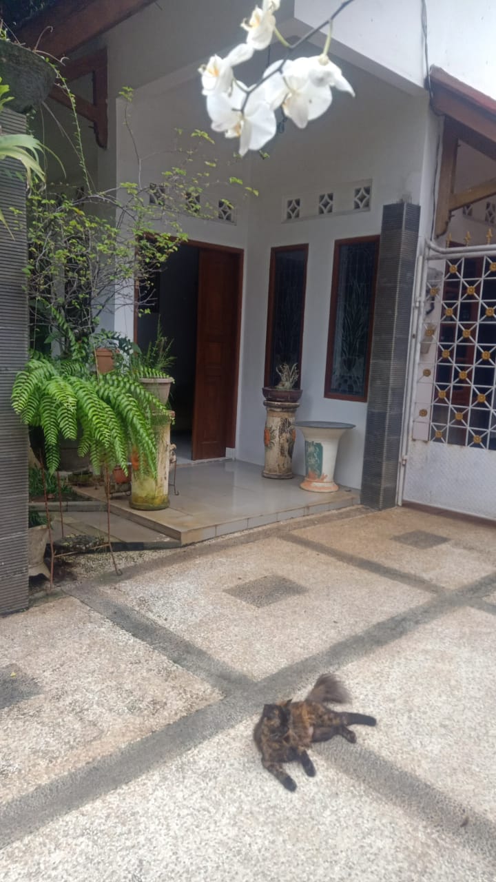 Disewakan rumah town house plus swiming pool di Cilandak Barat