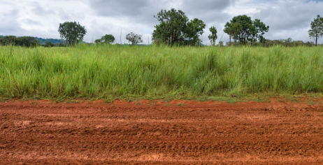 tanah dijual kebonsari elveka surabaya