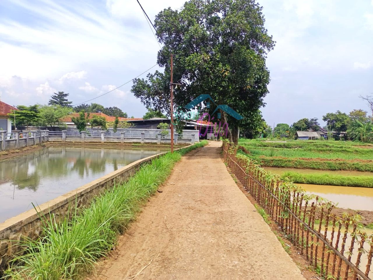 JUAL MURAH TANAH EMPANG PINGGIR JALAN Kp.BABAKAN SABRANG CISEENG