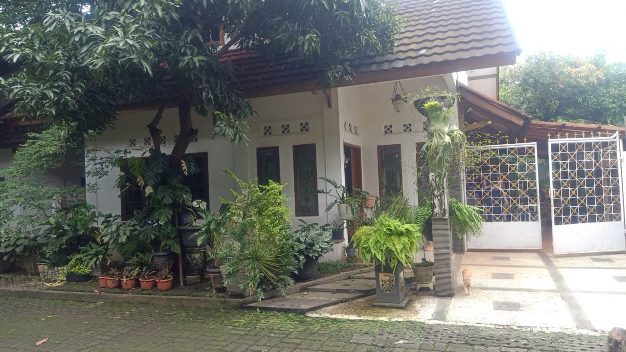 Disewakan rumah town house plus swiming pool di Cipete Utara