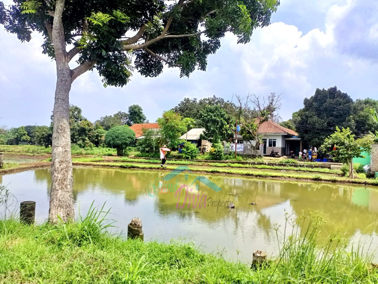 JUAL MURAH TANAH EMPANG PINGGIR JALAN Kp.BABAKAN SABRANG CISEENG