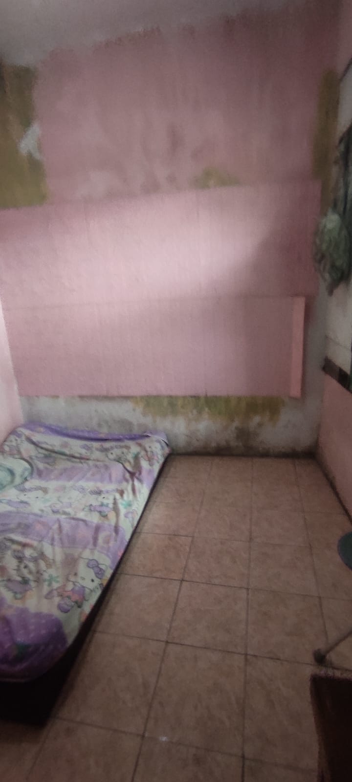 Dijual tanah komersil strategis BU bonus rumah lama Di Menteng