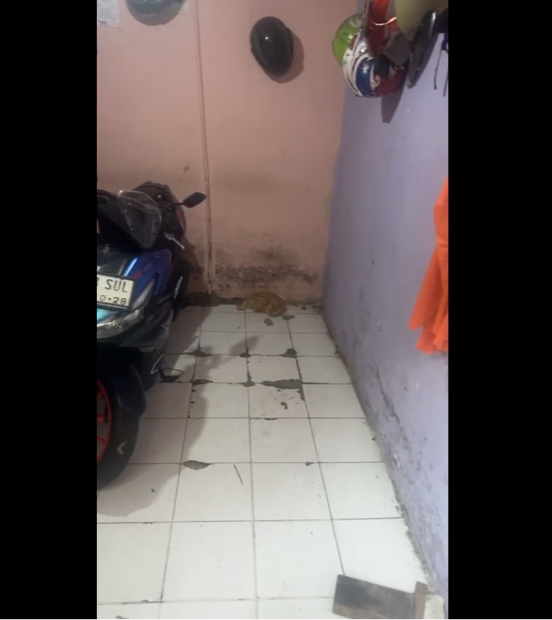 Dijual tanah komersil dibawah Njop di area Tebet, Manggarai