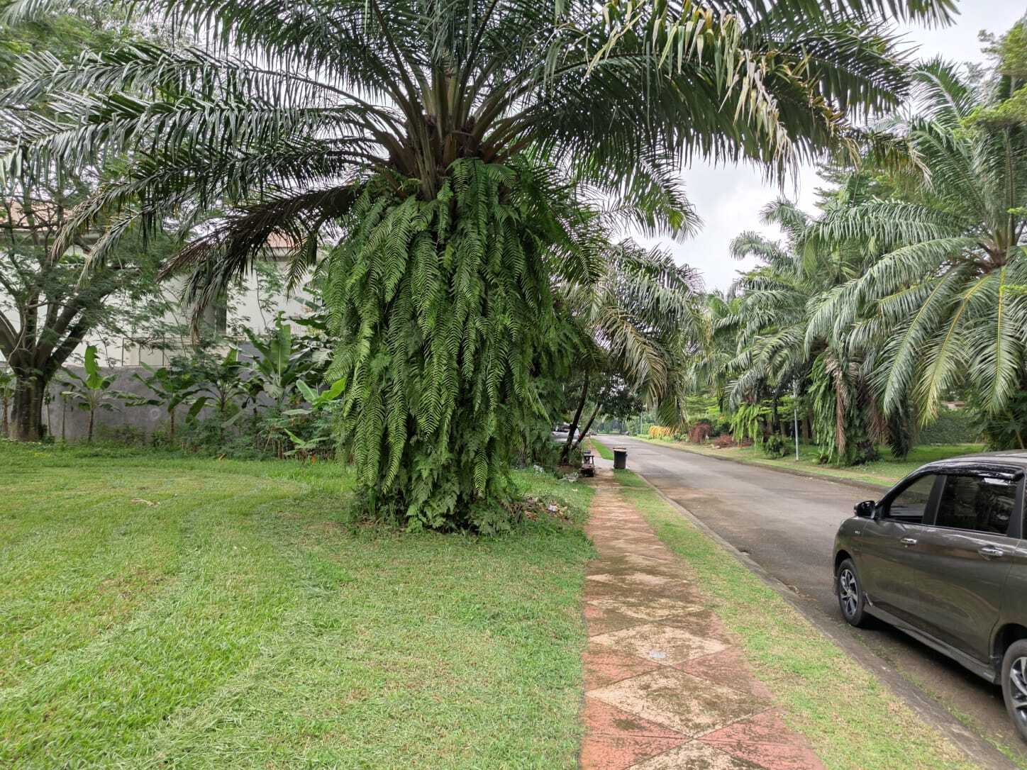 Dijual Kavling Sutera Danau Biru Alam Sutera, Tangerang