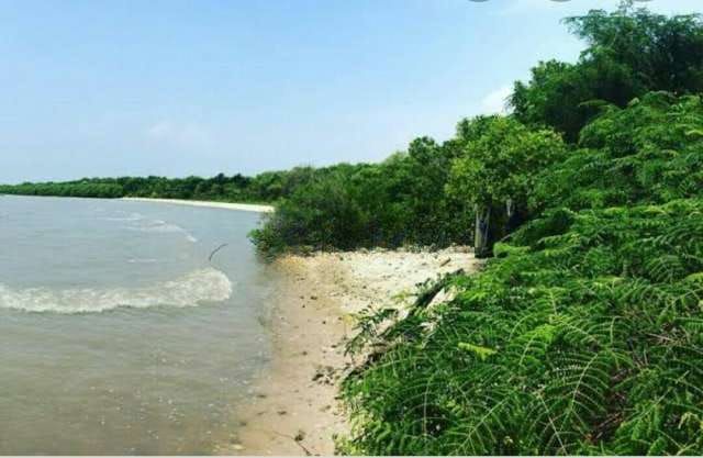 Dijual Tanah di Sawah Luhur, Kasemen, Kota Serang, Banten