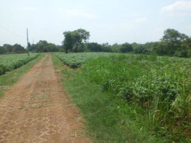 Dijual Kavling di Parung Hijau 1, Kec. Kemang, Bogor