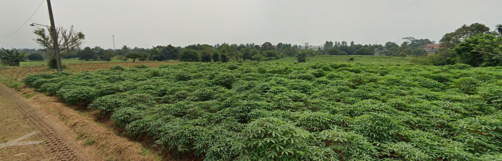 Dijual Kavling di Parung Hijau 1, Kec. Kemang, Bogor