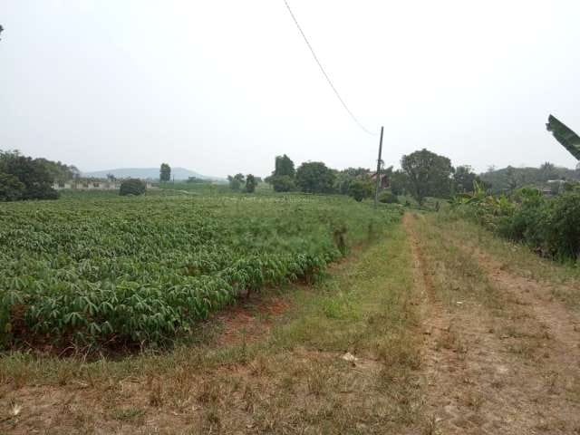 Dijual Kavling di Parung Hijau 1, Kec. Kemang, Bogor