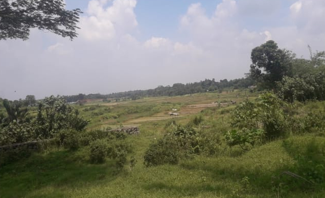 Dijual Tanah Jl. Raya Dago, Kebasiran,Parung Panjang,Bogor